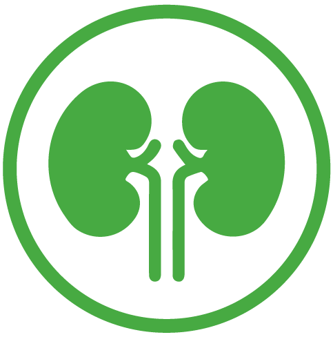 dialysis-icon